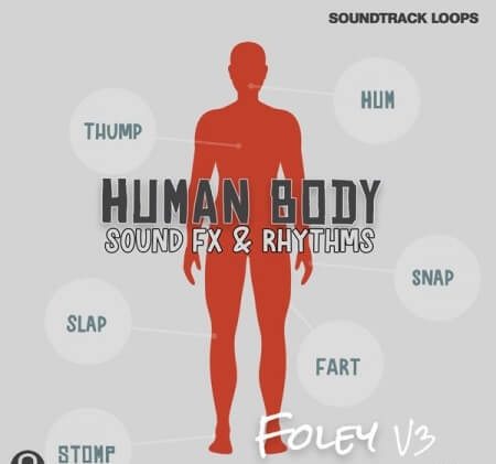 Soundtrack Loops Foley V3 Human Body Sound Effects & Rhythms WAV